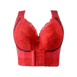 Plus Size Lace Embroidery Bra - Image 1
