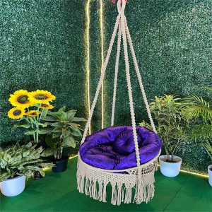 Bailey Swing - 02 - Image 1